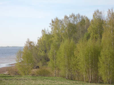 Фото Отдых на Волге