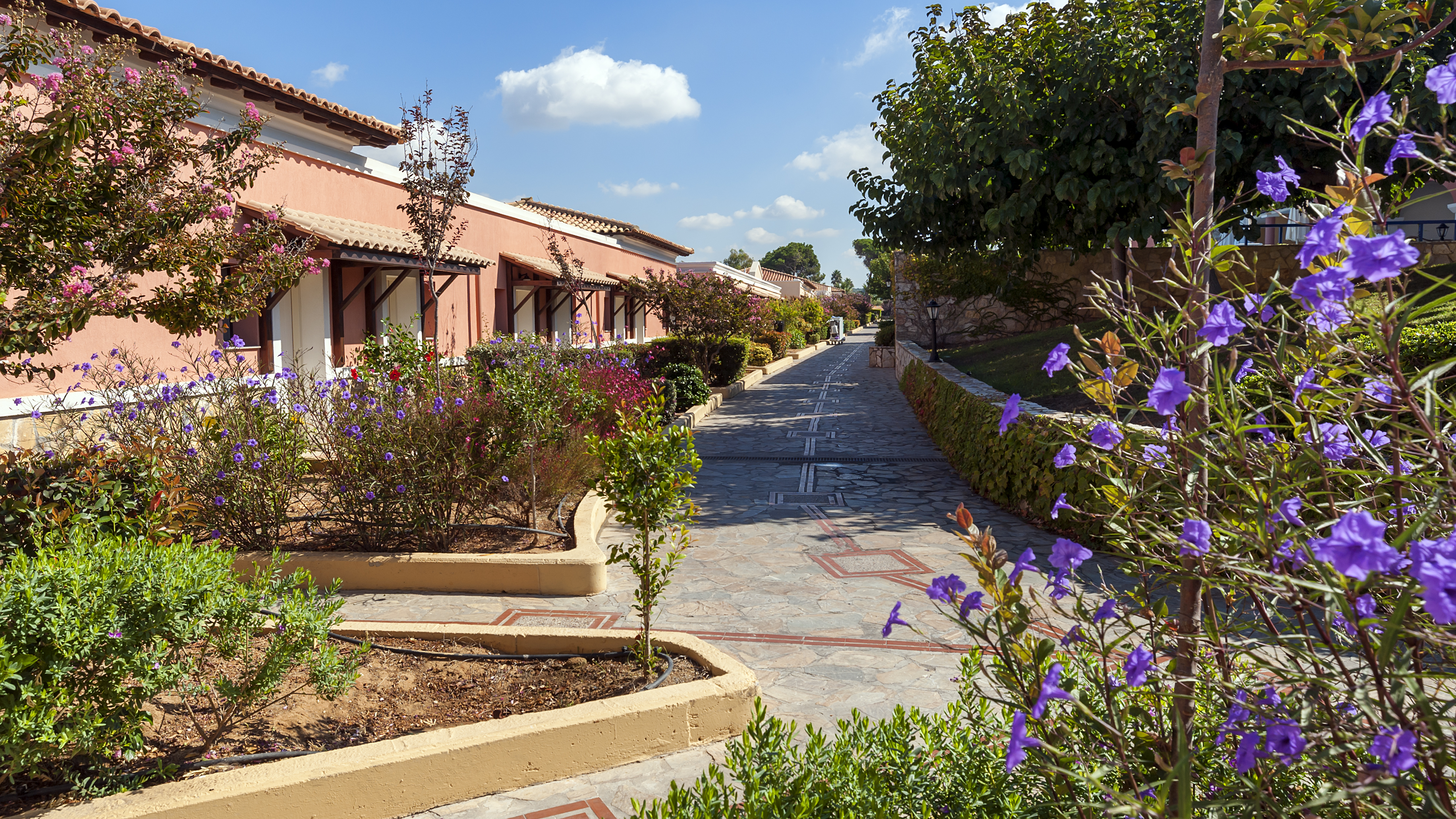 Фото Aldemar Olympian Village