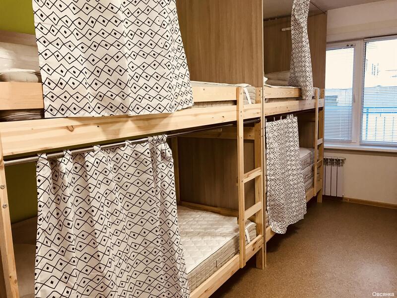 Фото Овсянка