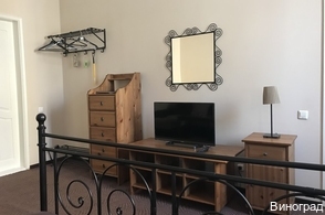 Фото Виноград