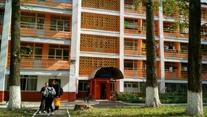 Үлкен клиторларды сору