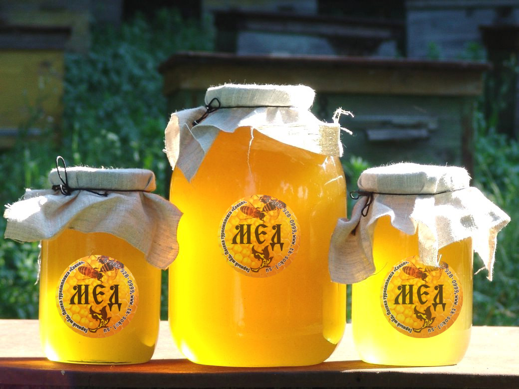 Фото Усадьба Сокол