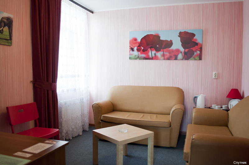 Фото Спутник