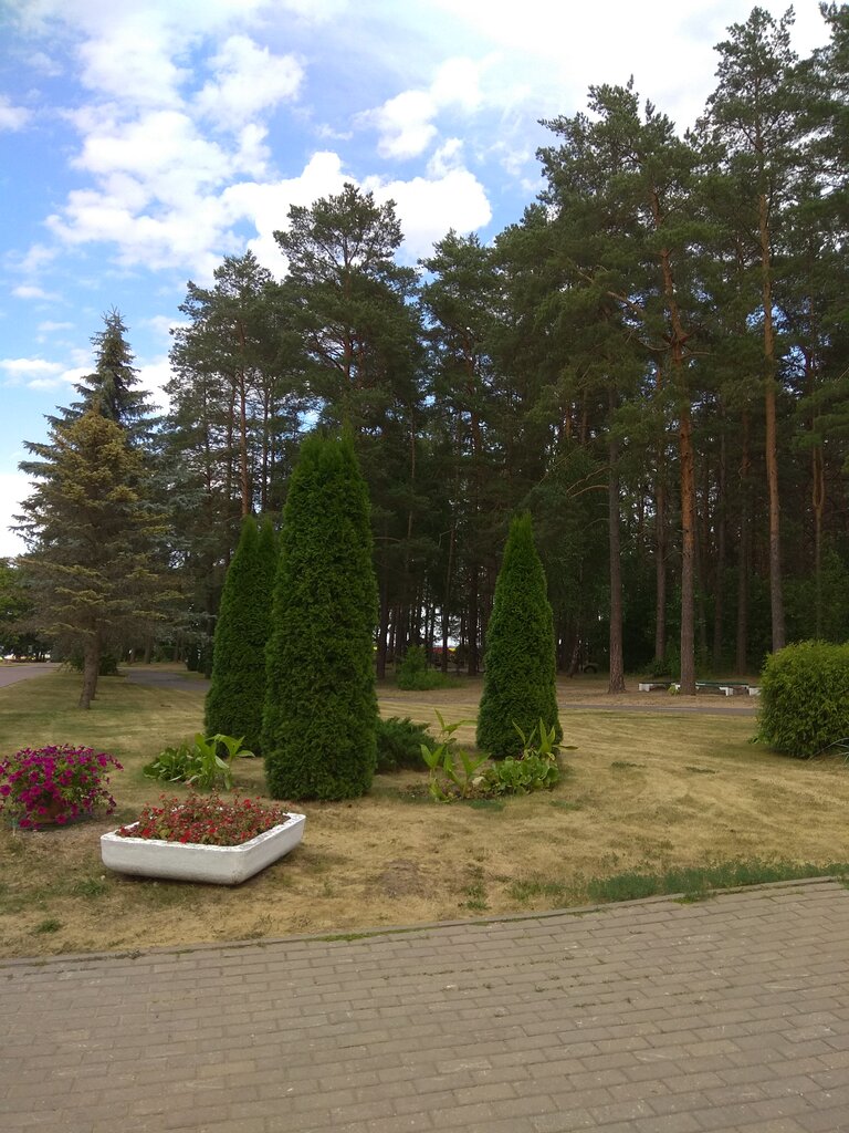 Детский лагерь зубренок маз