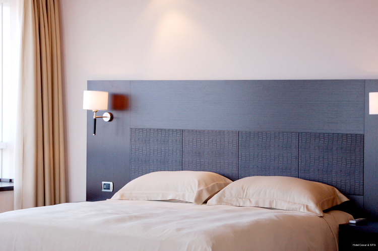 Фото Hotel Cesar & SPA