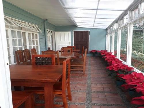 Фото Dejavu Bed and Breakfast