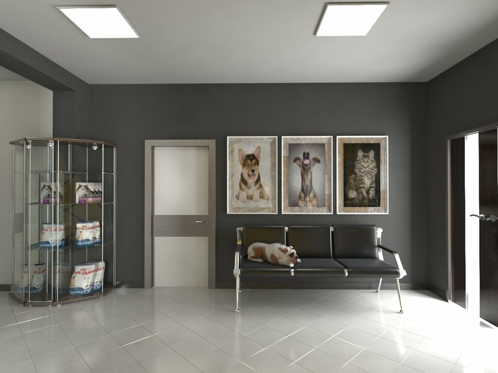 Veterinary clinic Talisman, Almaty, photo