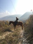 Конные прогулки (stanitsa Shapsugskaya, ulitsa Krasnykh Tamantsev, 9), excursions