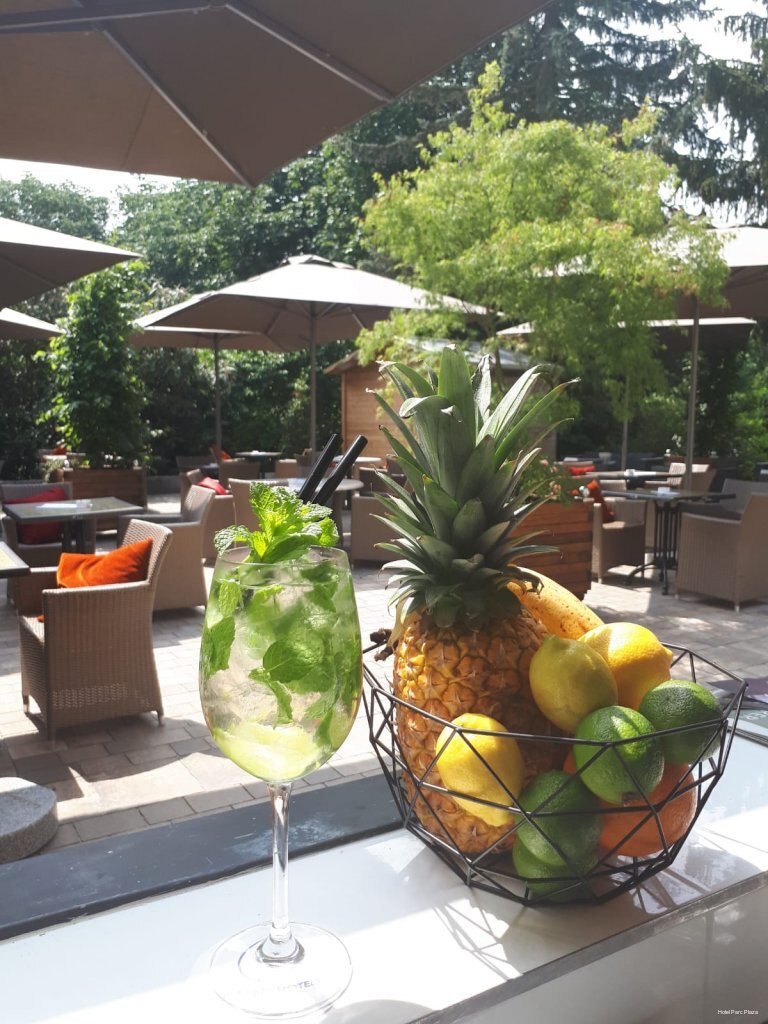 Фото Hotel Parc Plaza