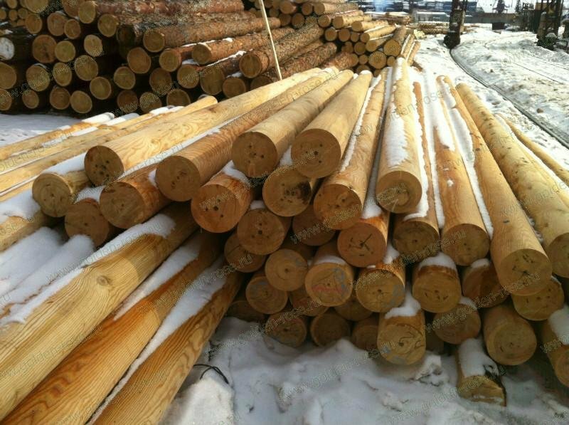 Lumber Zolotaya roza, Moscow, photo