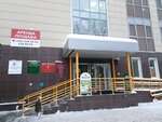 CityPlan LLC (Klary Tsetkin Street, 10А), construction company