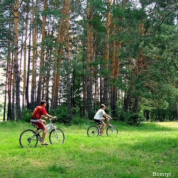 Фото Вселуг