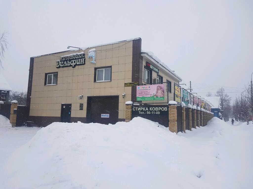 Дельфин полевая ул 16 фото