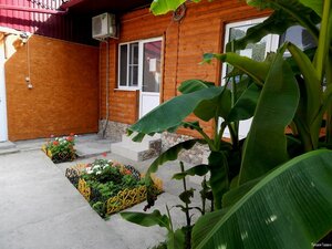 Тихая Гавань