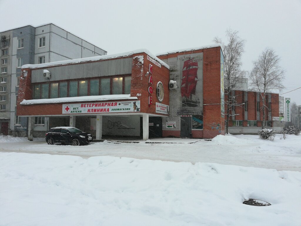 Кафе в тосно