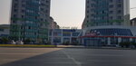 Aleksa (Microdistrict 16A, 91), travel agency
