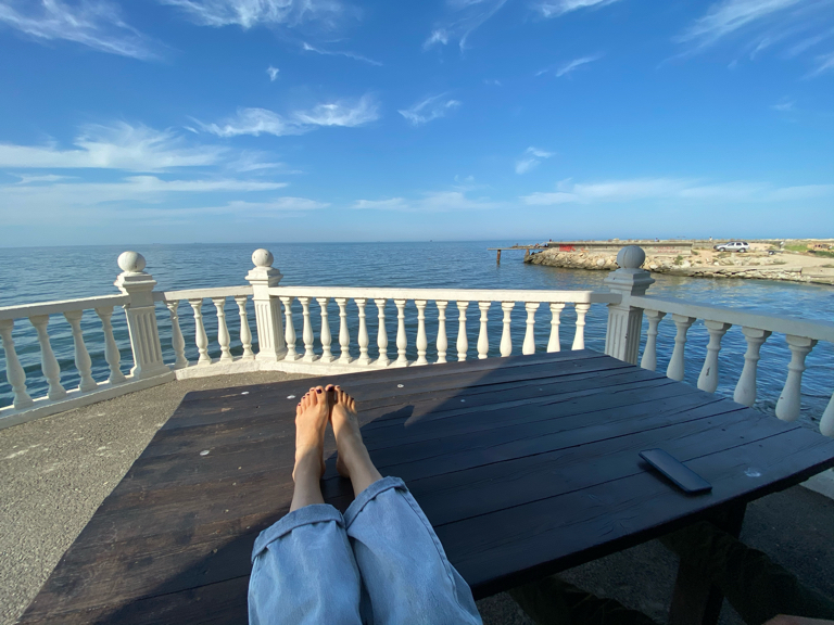 Фото Белый медведь