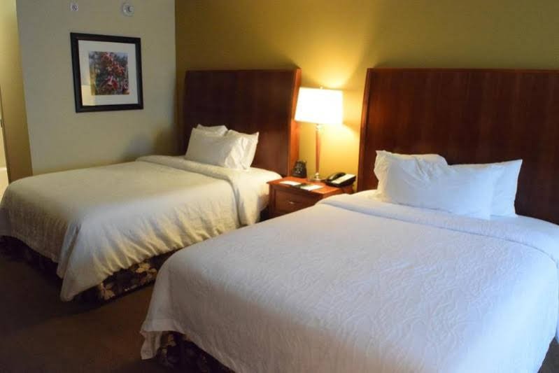 Фото Hilton Garden Inn Houston/The Woodlands