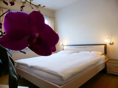 Гостиница Hotel Am Schloss