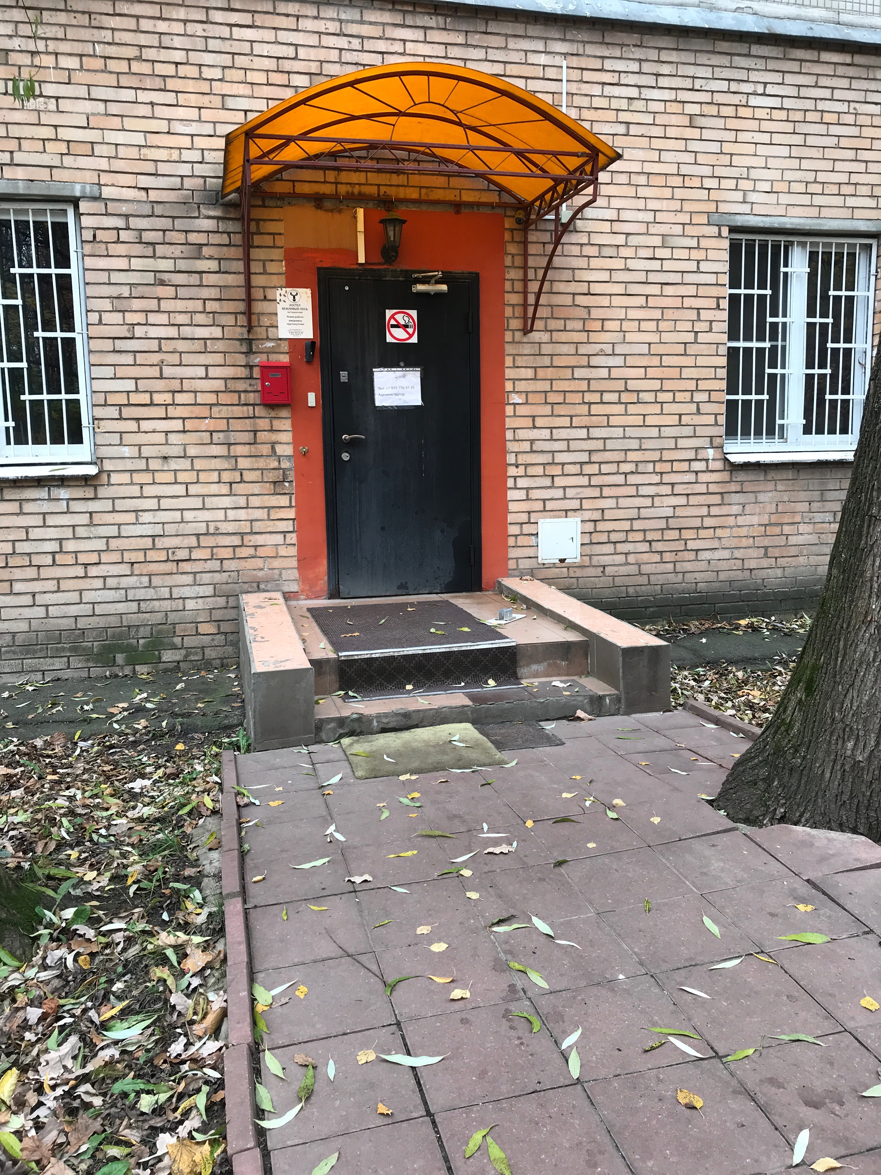 Фото Вежливый Лось на Туристской