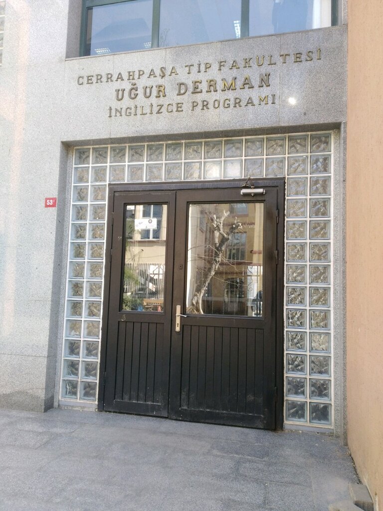 Conference and meeting hall Universitesi Cerrahpasha Tıp Fakultesi İngilizce Tip Konferans Salonu, Istanbul, photo