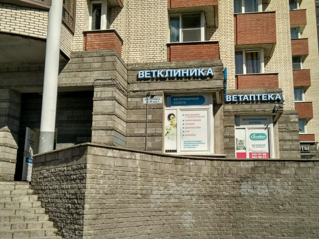 Ситивет кондратьевский просп 66 корп 1 фото