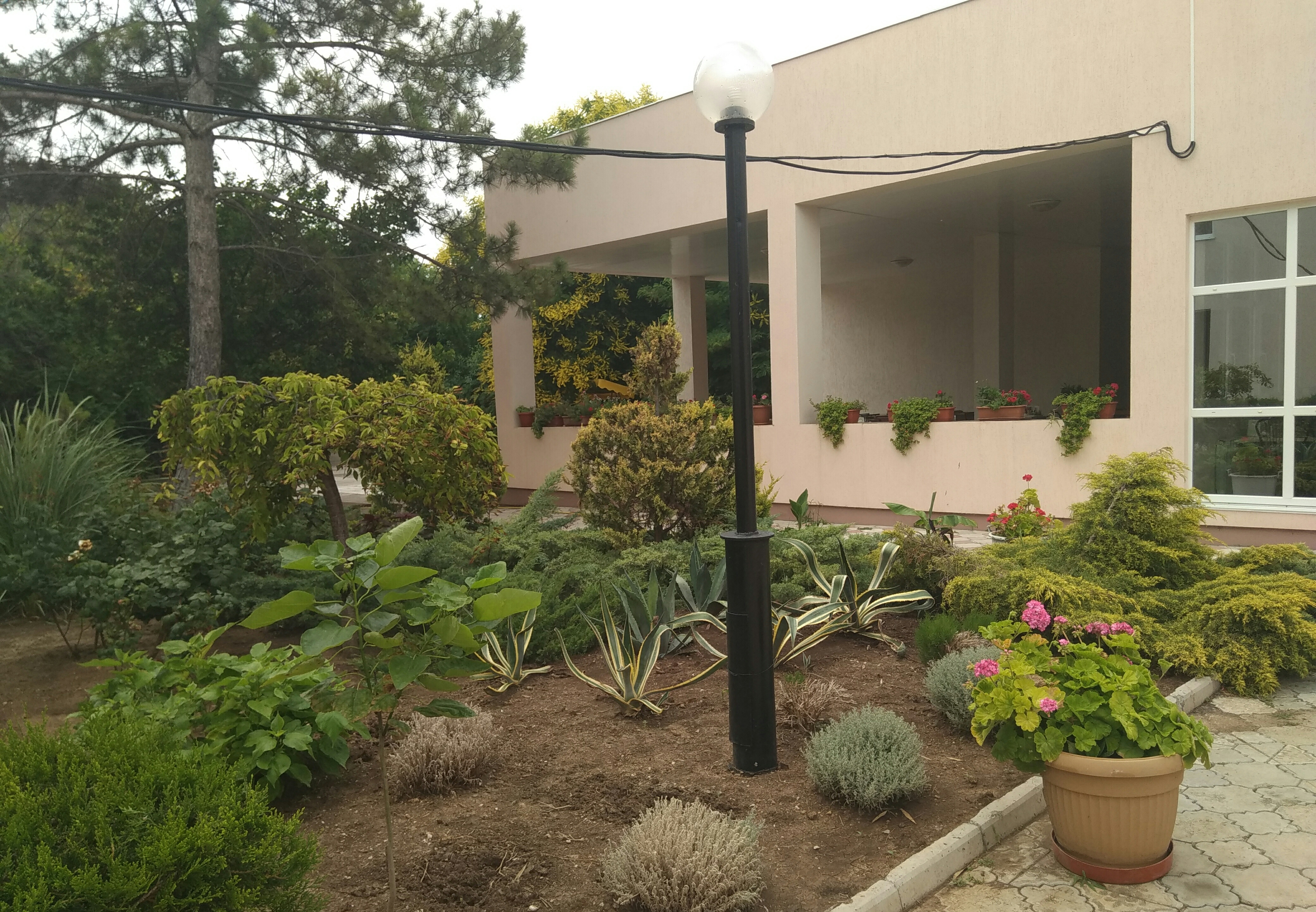 Фото Астра центр