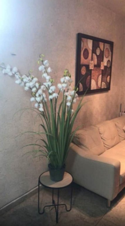 Фото Franks House