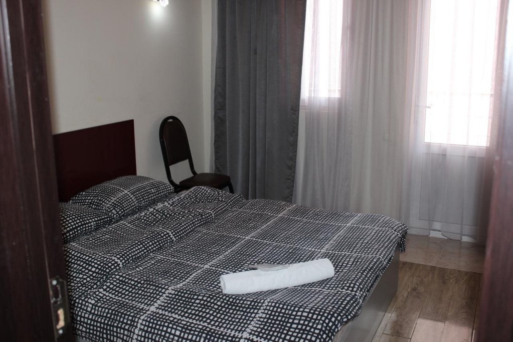 Фото Дельфин