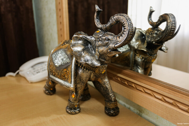 Фото Звезда Тамани