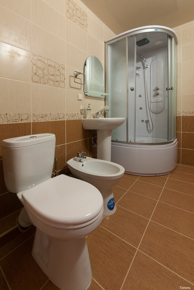 Фото Тополь