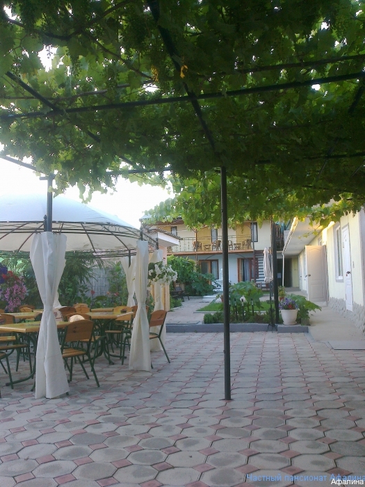 Фото Афалина