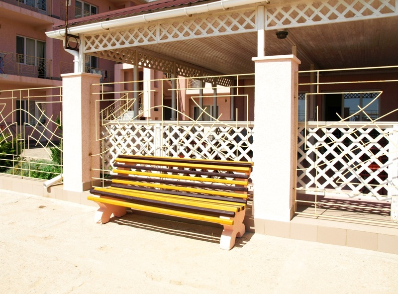 Фото Шафран