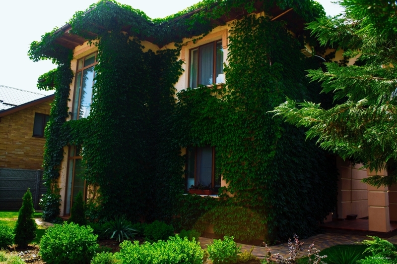 Фото Вилла Магриб и Шарк