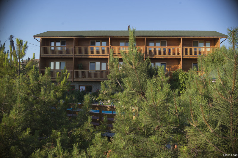 Фото Капля янтаря