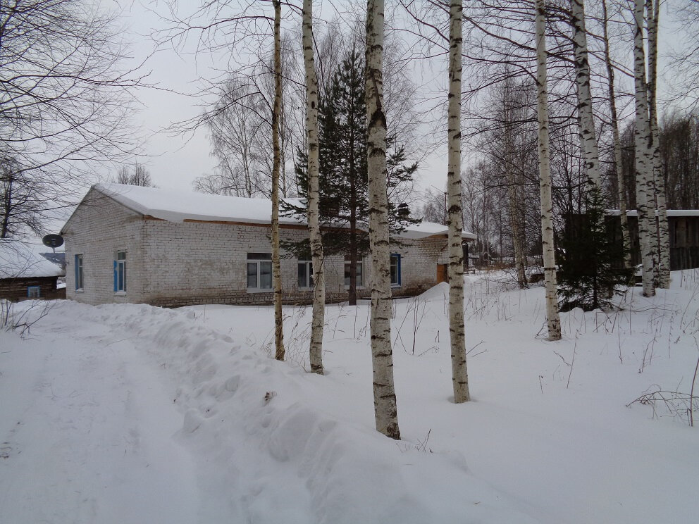Library Dvoretskaya Selskaya biblioteka im. F. F. Pavlenkova, Perm Krai, photo