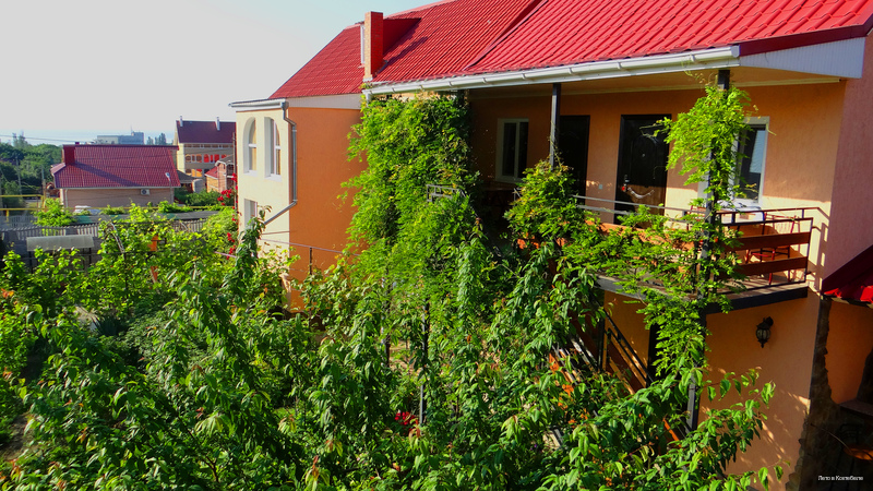 Фото Лето в Коктебеле