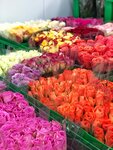 Baza tsvetov 24 (Geroev Avenue, 3), flower shop