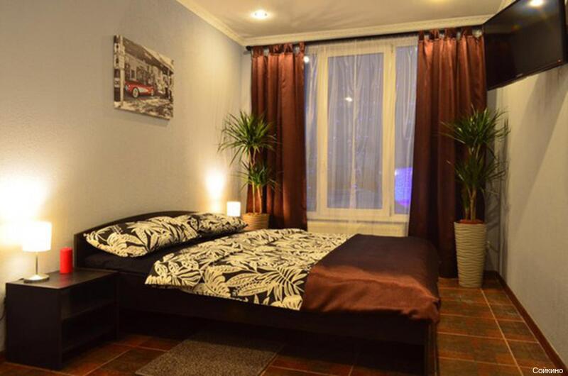 Фото Сова Сойкино