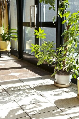 Гостиница Grizins в Риге