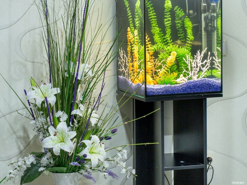 Фото Элегант