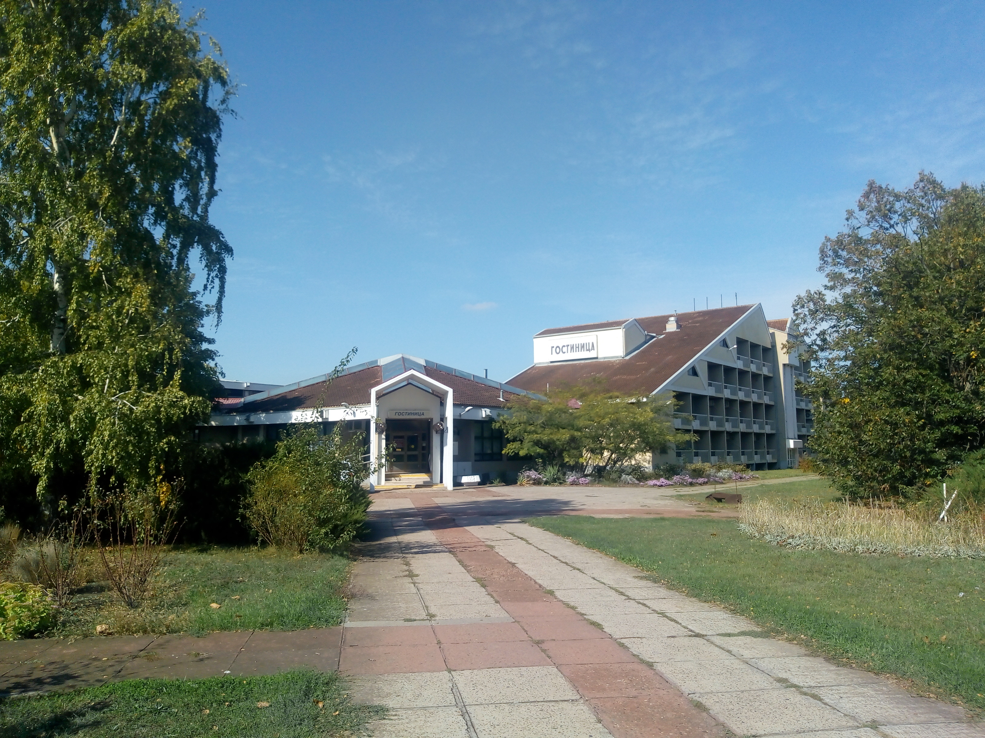 Фото Дружба