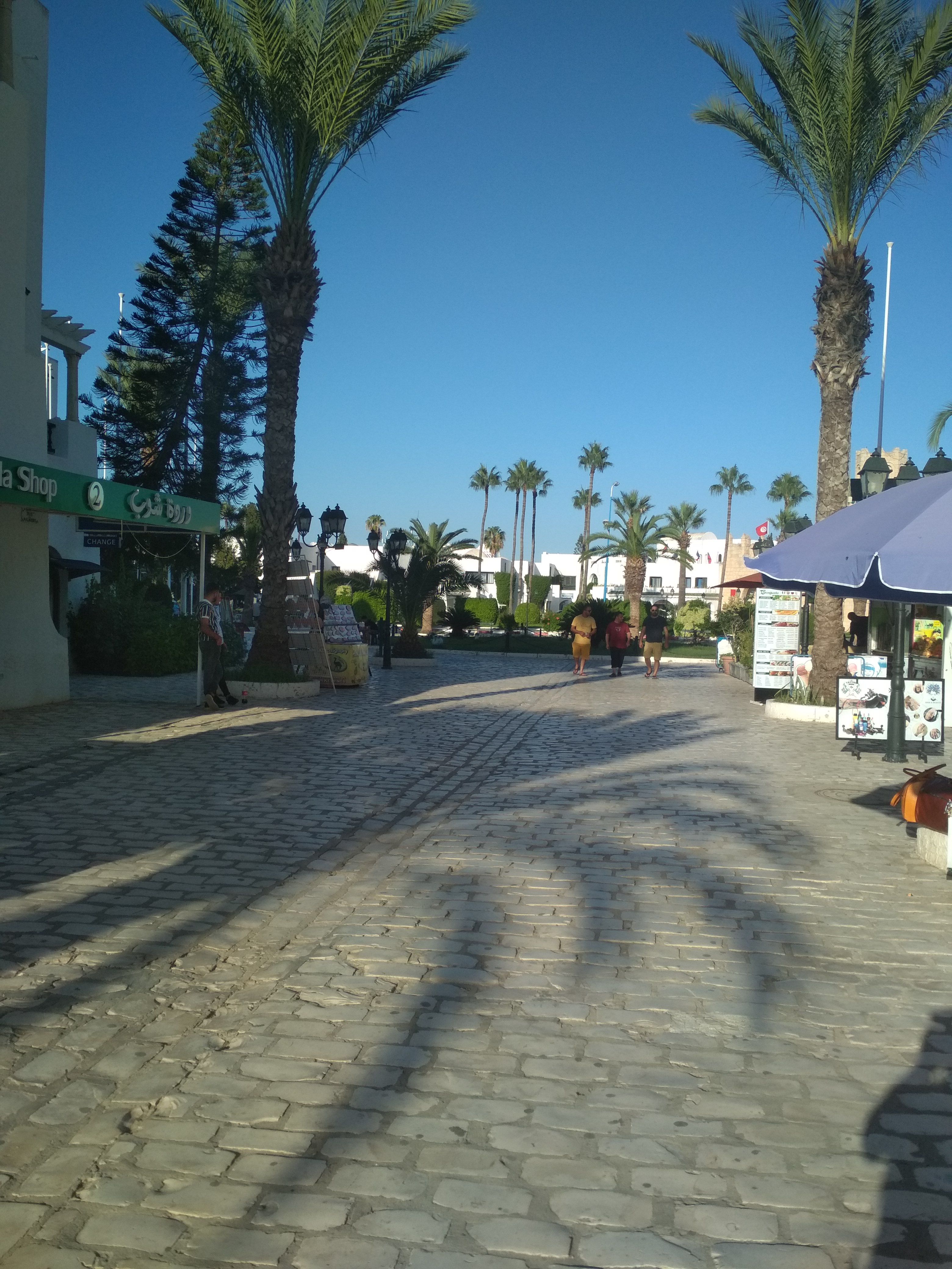 Фото 135145736636