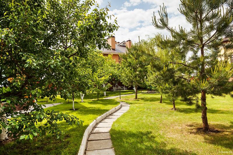 Фото Сосновый бор