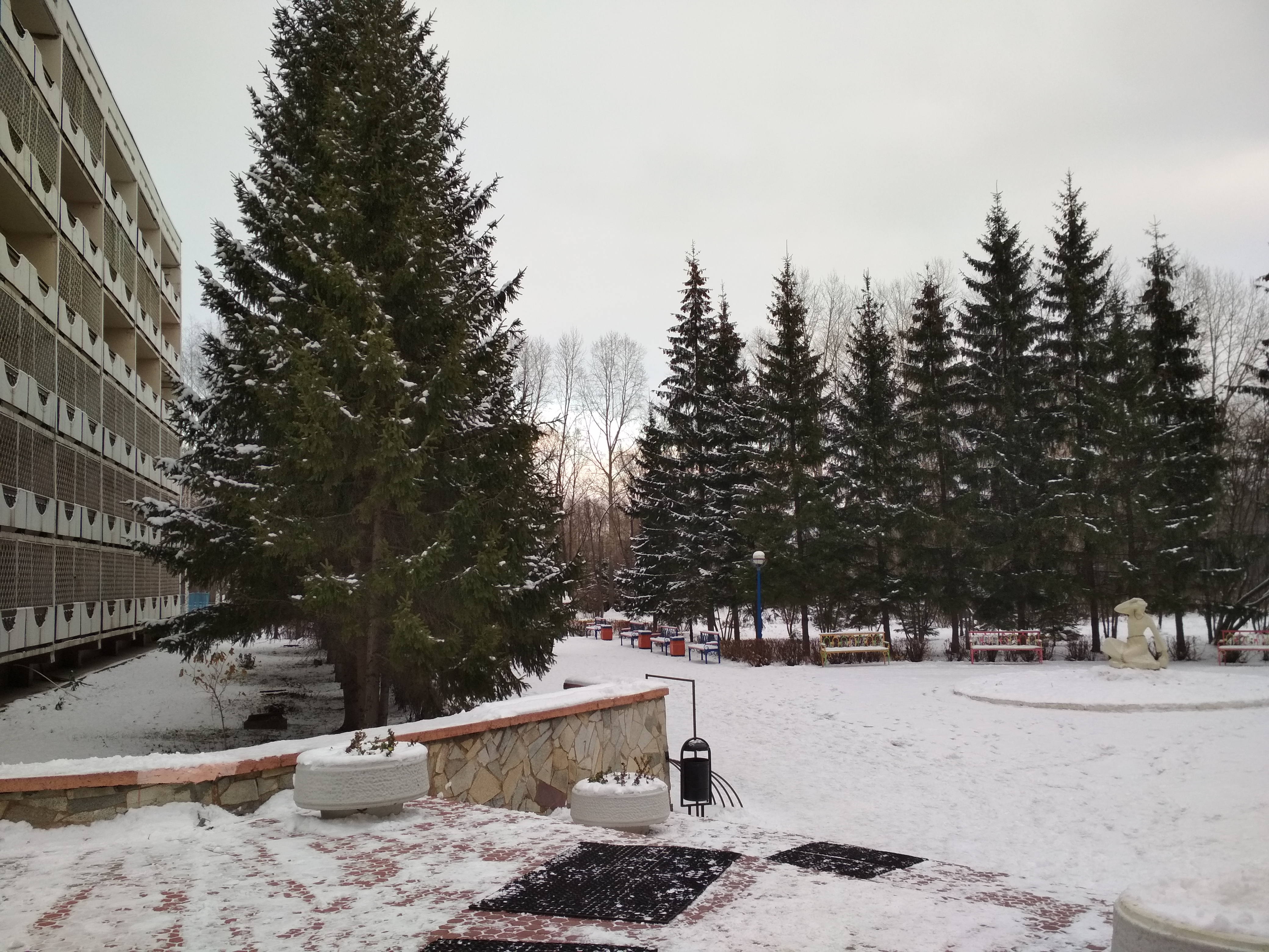 Фото Жемчужина