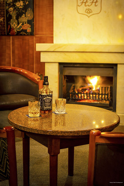 Фото Hansa Hotel