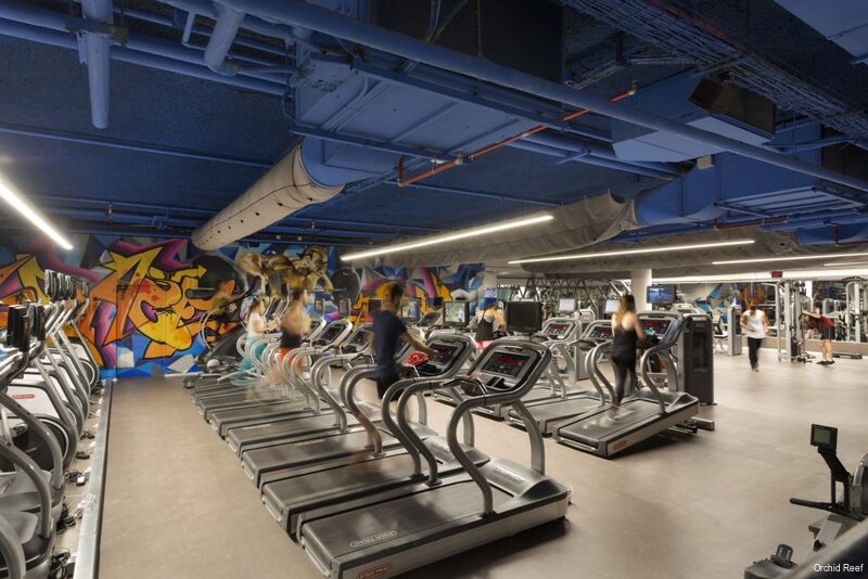 Фото Herbert Samuel The Reef Eilat