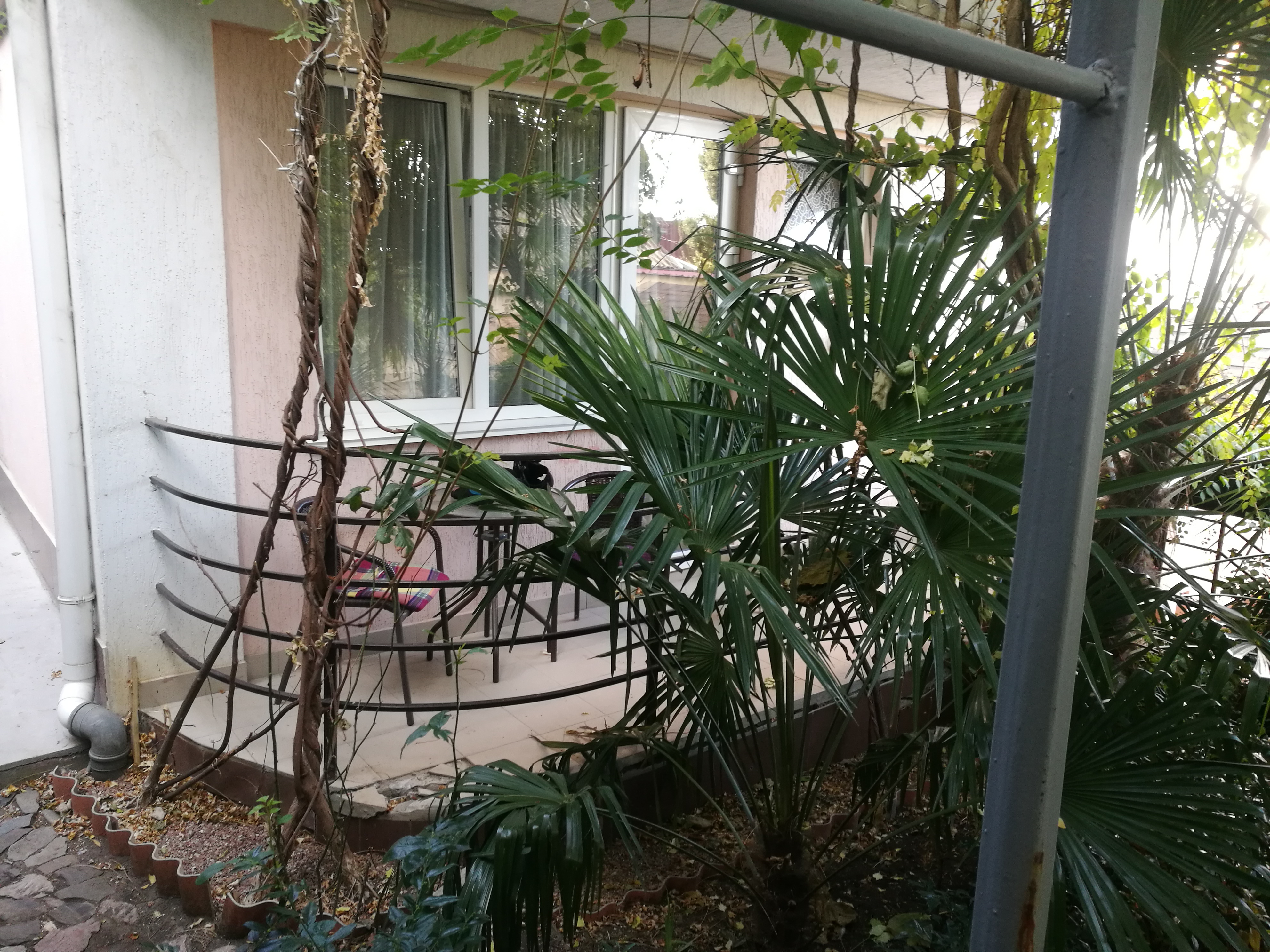 Фото Южный Домик