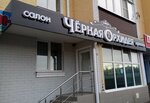 Black Orchid (Oryol, ulitsa Alrosa, 2), beauty salon