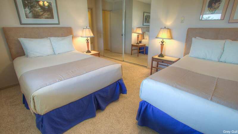 Фото The Grey Gull